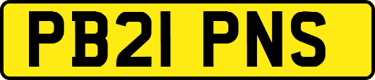 PB21PNS