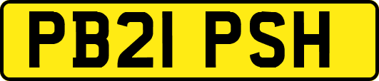 PB21PSH