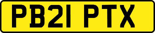PB21PTX