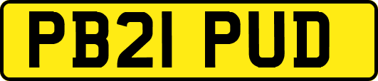 PB21PUD