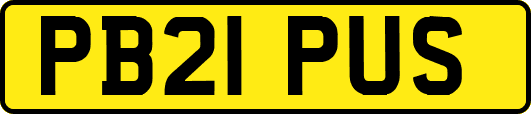 PB21PUS