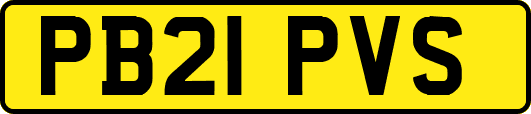 PB21PVS
