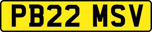PB22MSV