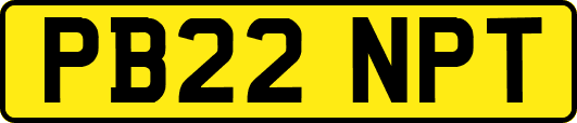 PB22NPT