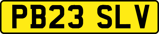 PB23SLV