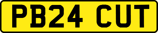 PB24CUT