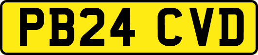 PB24CVD