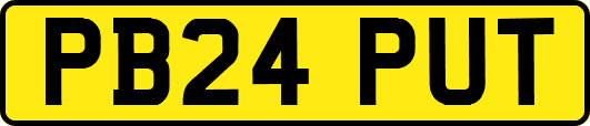 PB24PUT