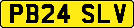 PB24SLV