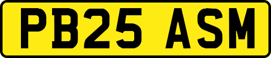 PB25ASM