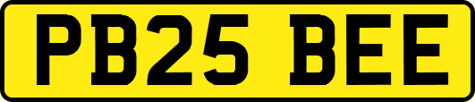 PB25BEE