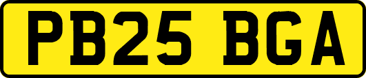 PB25BGA