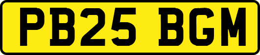 PB25BGM