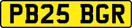 PB25BGR