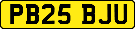 PB25BJU
