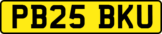 PB25BKU