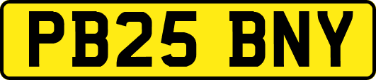 PB25BNY