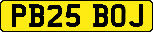 PB25BOJ