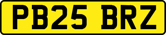 PB25BRZ