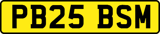 PB25BSM
