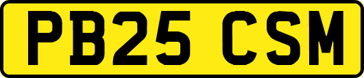 PB25CSM