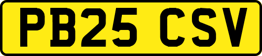 PB25CSV