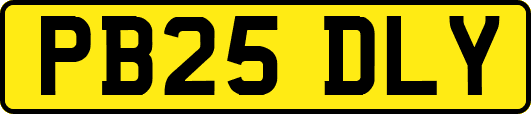 PB25DLY