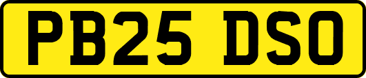 PB25DSO