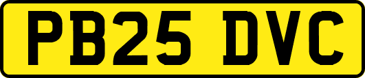PB25DVC
