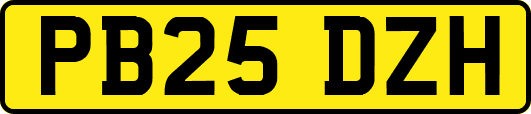 PB25DZH