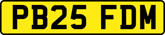 PB25FDM