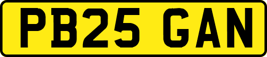 PB25GAN