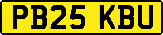 PB25KBU
