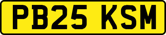 PB25KSM