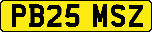 PB25MSZ