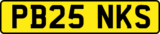 PB25NKS