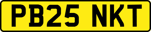 PB25NKT