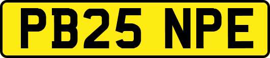 PB25NPE