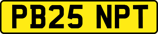 PB25NPT