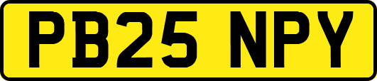 PB25NPY