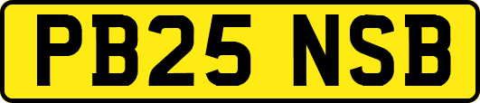 PB25NSB