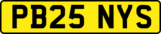 PB25NYS