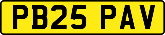 PB25PAV