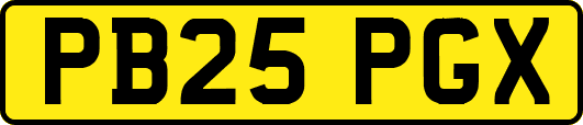 PB25PGX