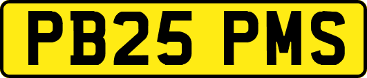 PB25PMS