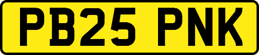 PB25PNK