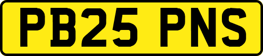 PB25PNS