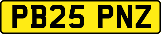 PB25PNZ