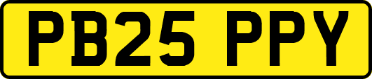 PB25PPY