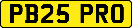 PB25PRO